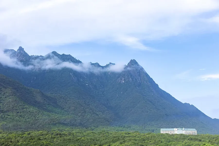 屋久島 モッチョム岳