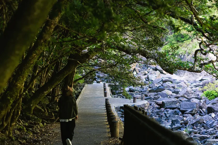 屋久島 大川の滝