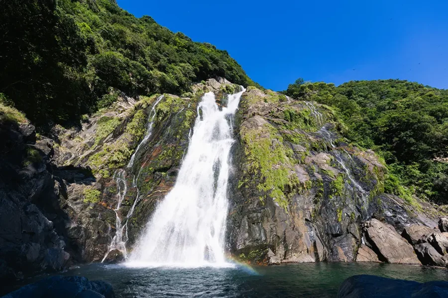屋久島 大川の滝