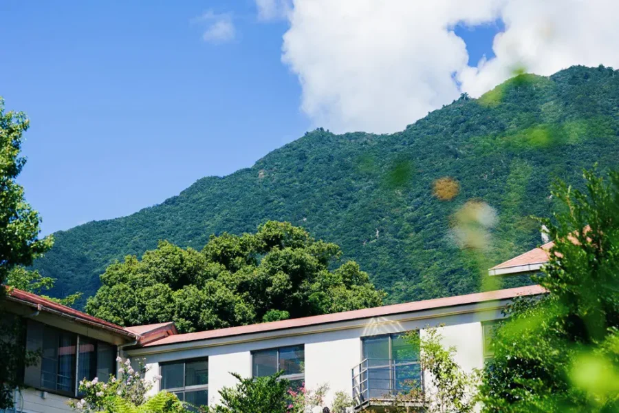屋久島 宿 Albergo恋泊 アルベルゴこいどまり